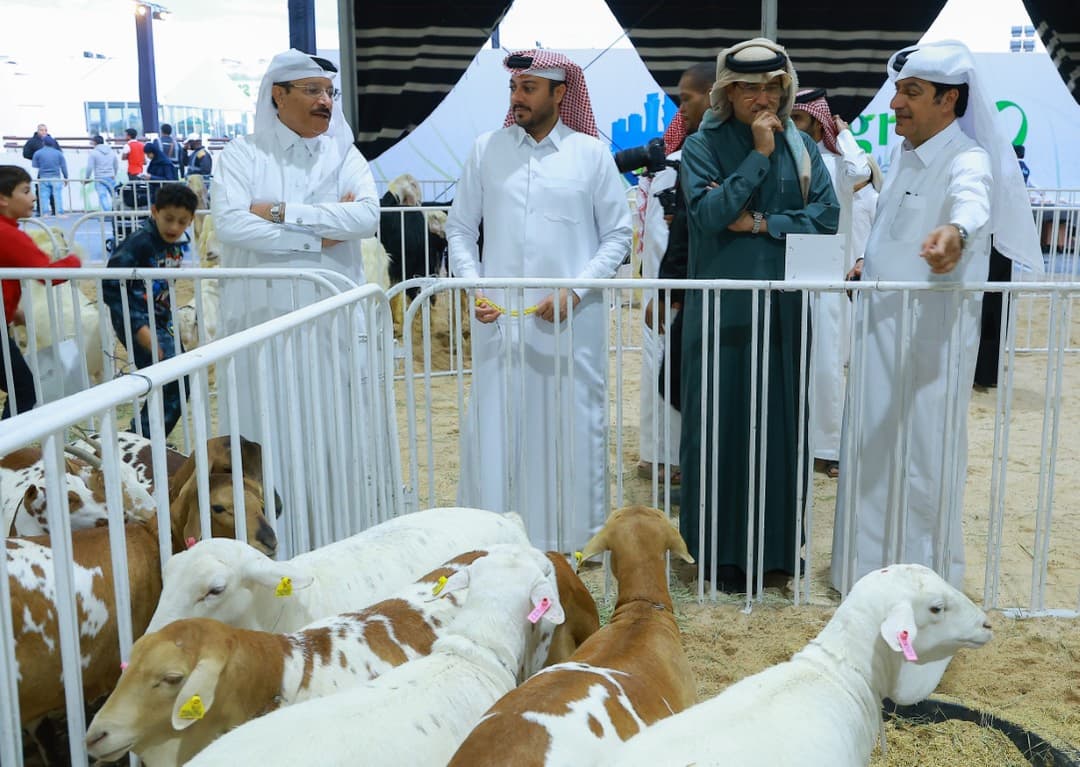 منطقة عرض الحلال ومسرح المزاد