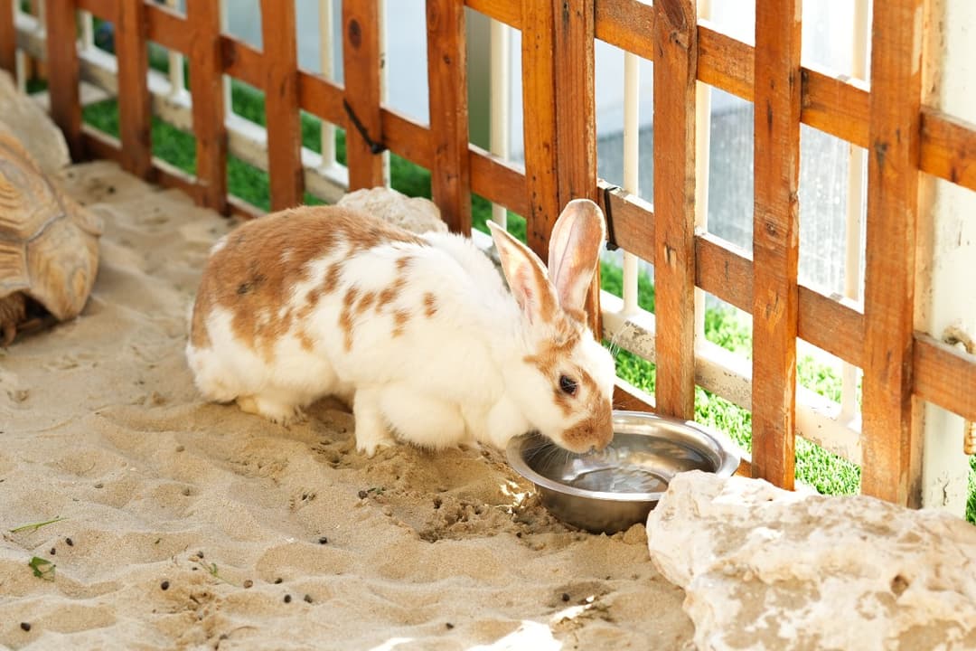 منطقة حديقة الحيوان